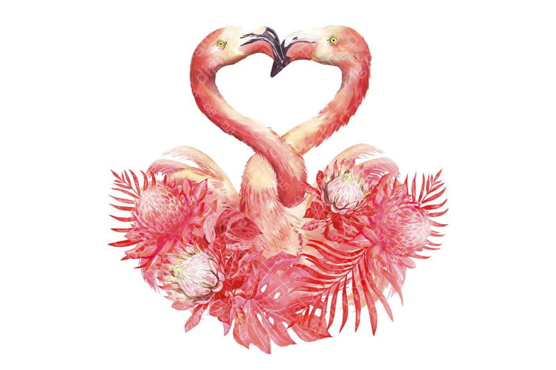flamingo-watercolor-clipart-pink-flamingos-love-clipart-floral