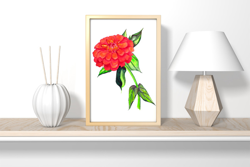 watercolor-zinnia-set-of-clip-art