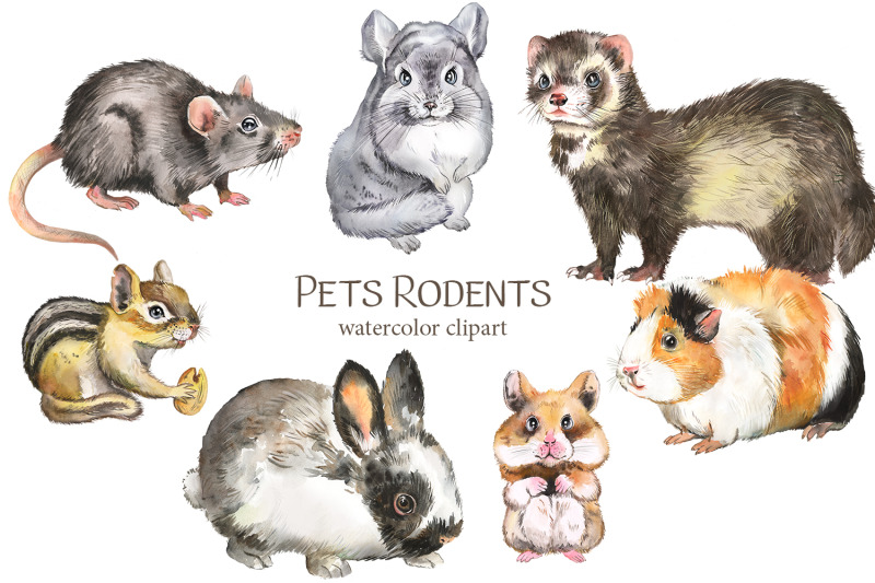 pets-watercolor-clipart-cute-animals-rabbit-guinea-pig-ferret