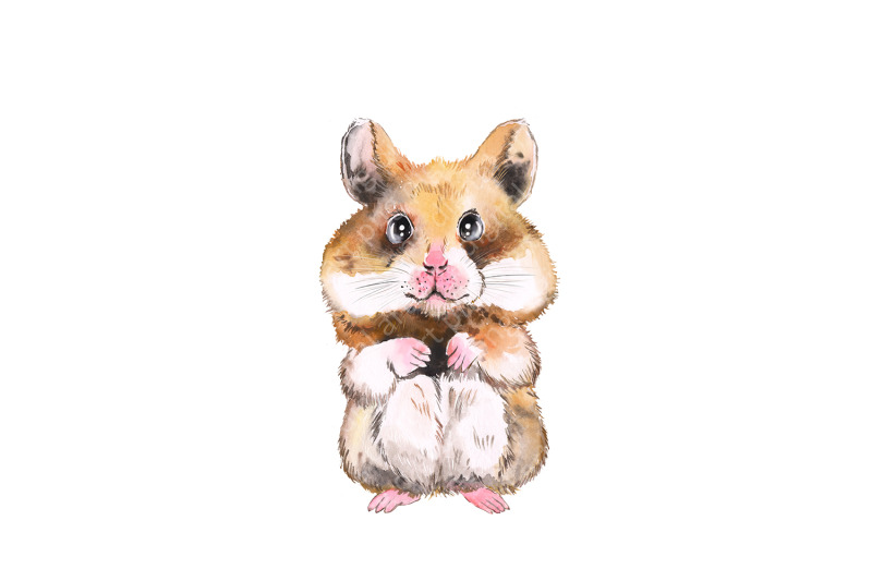 pets-watercolor-clipart-cute-animals-rabbit-guinea-pig-ferret