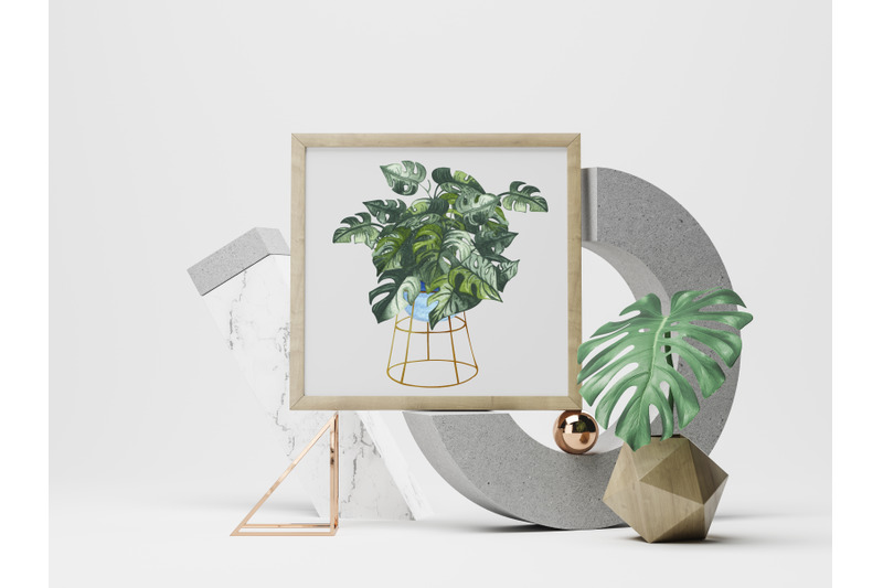 house-plants-watercolor-clip-art