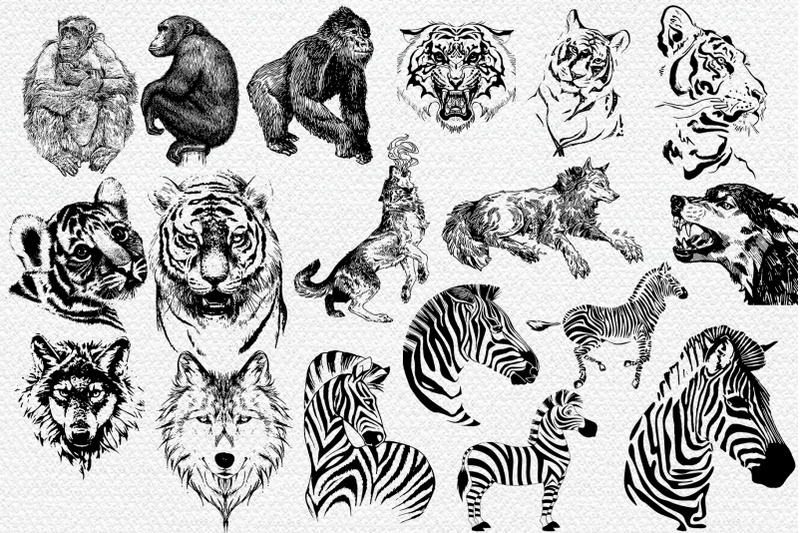 50-wild-animals-vector-part-3