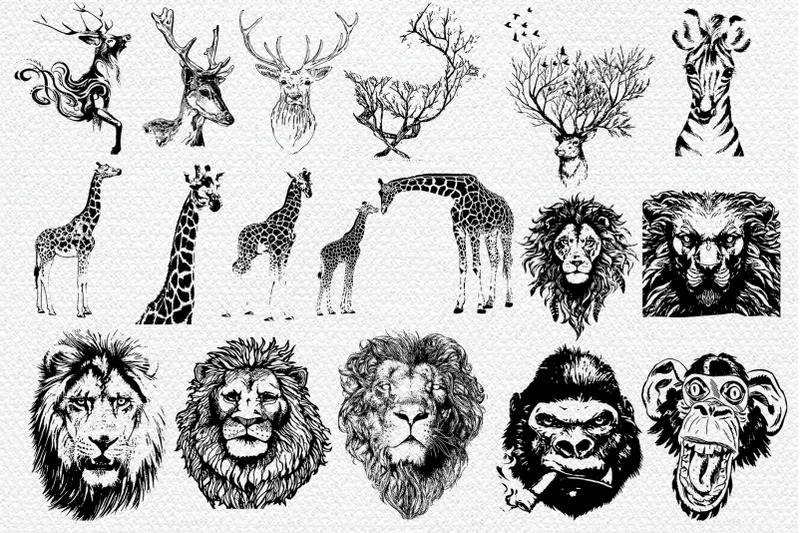 50-wild-animals-vector-part-3