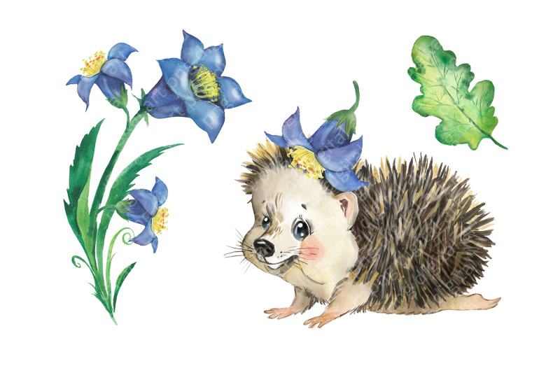 hedgehog-family-watercolor-clipart-cute-little-hedgehog-clip-art