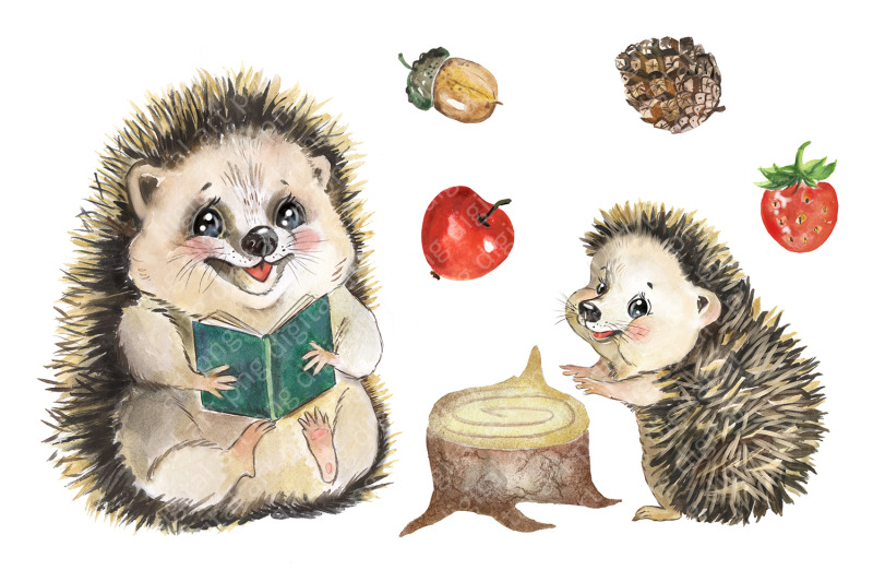 hedgehog-family-watercolor-clipart-cute-little-hedgehog-clip-art