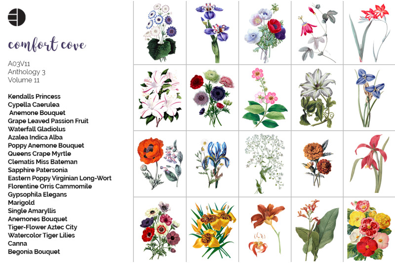 flowers-bundle-100-flowers
