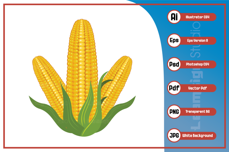 illustration-realistic-corn-design-vector