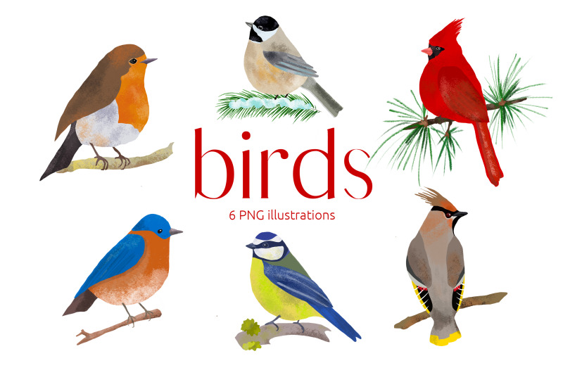 birds-illustration-clip-art-png