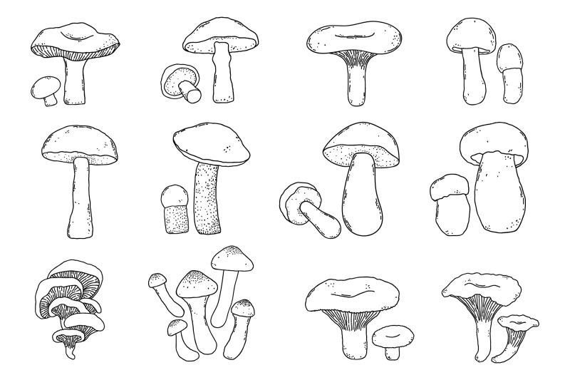 mushrooms