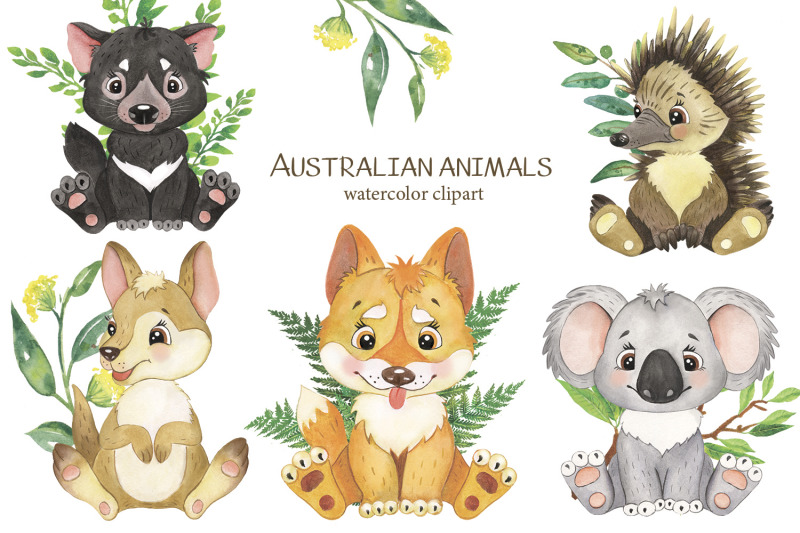 australian-animals-clipart-watercolor-clipart-tropical-little-animal