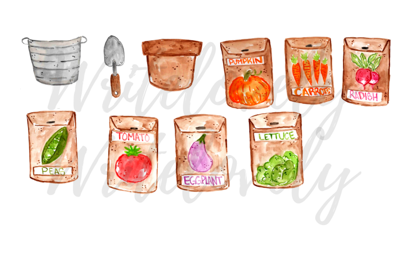 watercolor-vegetable-seed-clipart