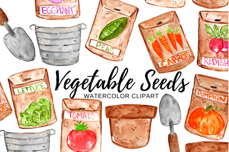 watercolor-vegetable-seed-clipart