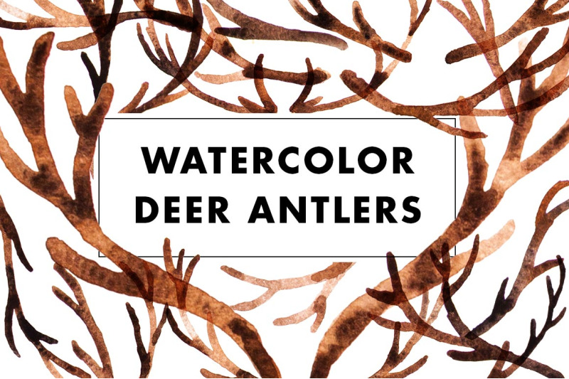 watercolor-deer-antlers