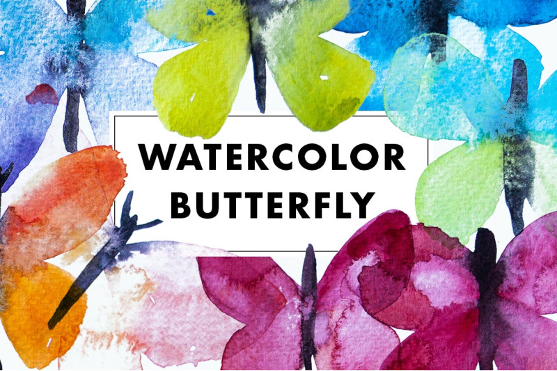 watercolor-butterfly-illustrations