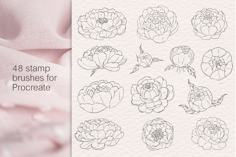 peony-flowers-procreate-stamp-brushes-cliparts