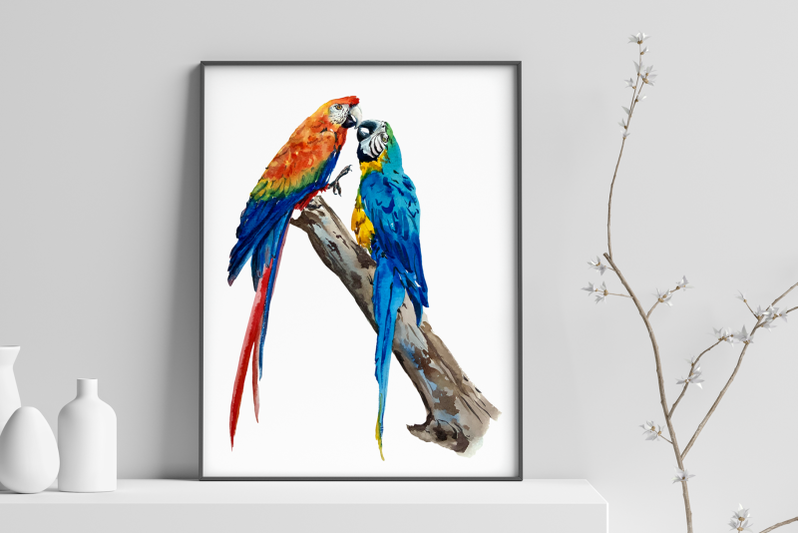 parrots-watercolor-print-and-clip-art