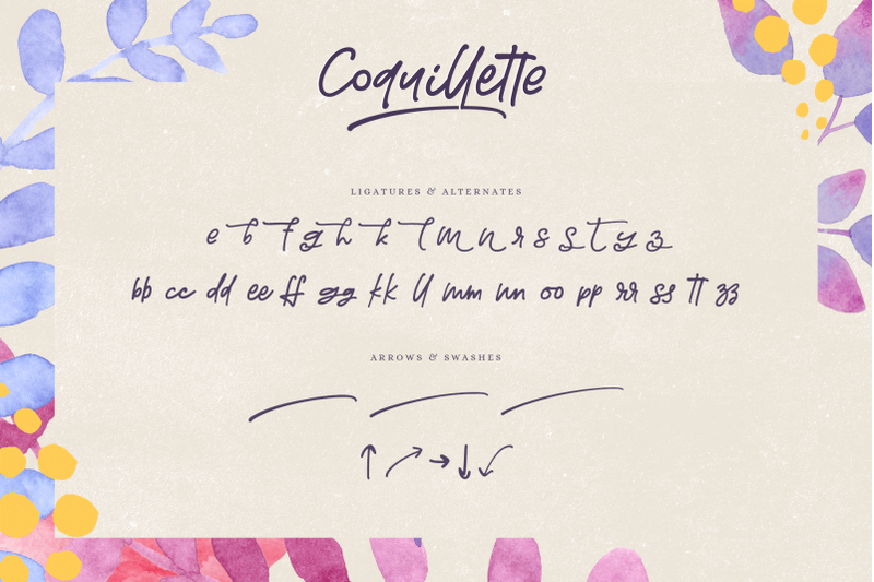 coquillette-a-handwritten-script