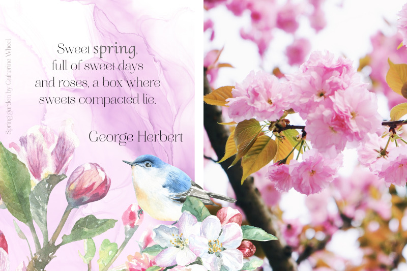 watercolor-spring-birds