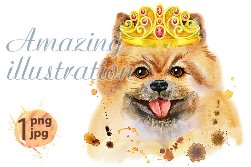 watercolor-portrait-of-dog-pomeranian-spitz-with-golden-crown