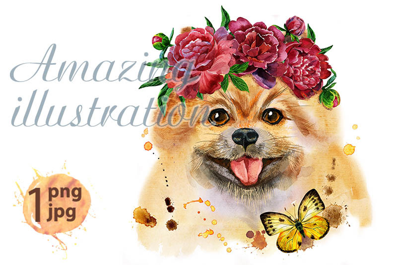 watercolor-portrait-of-dog-pomeranian-spitz-with-flowers