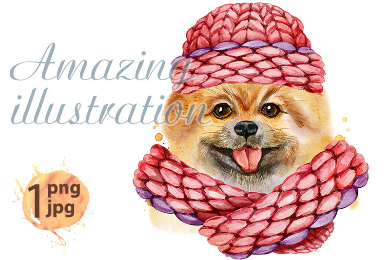 watercolor-portrait-of-dog-pomeranian-spitz-with-pink-knitted-hat