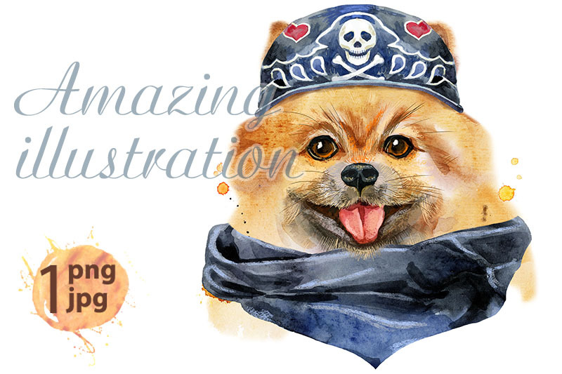 watercolor-portrait-of-dog-pomeranian-spitz-wearing-biker-bandana