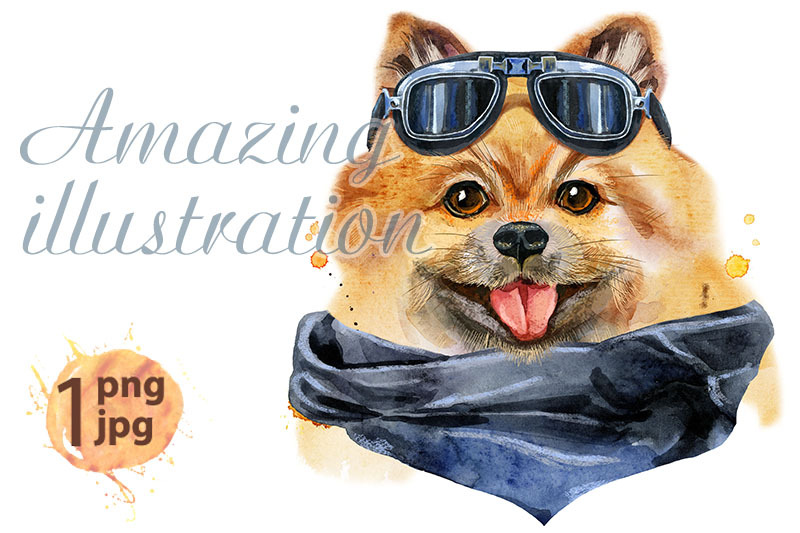 watercolor-portrait-of-dog-pomeranian-spitz-with-biker-sunglasses