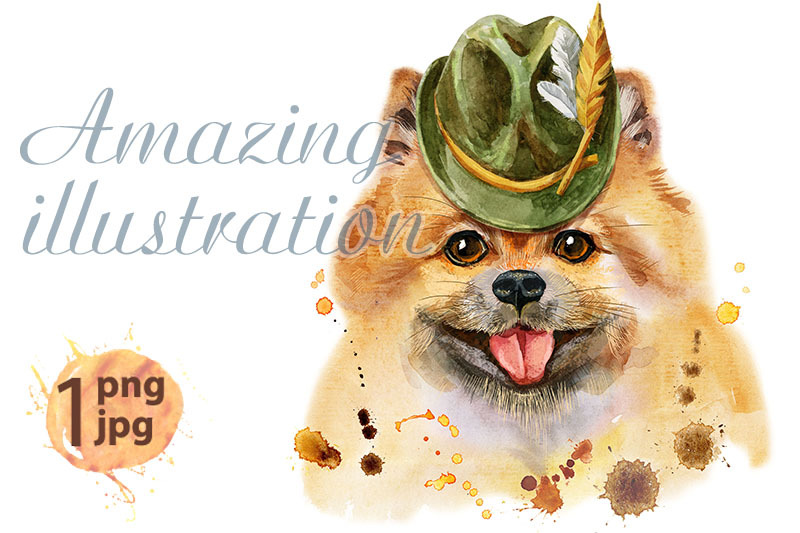 watercolor-portrait-of-dog-pomeranian-spitz-with-green-hat