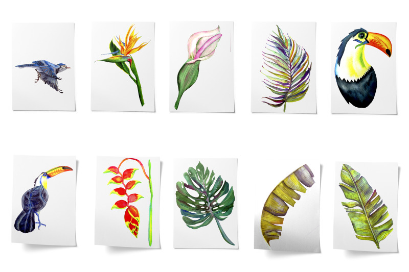 exotic-flowers-clipart-tropical-leaves-beach-wedding