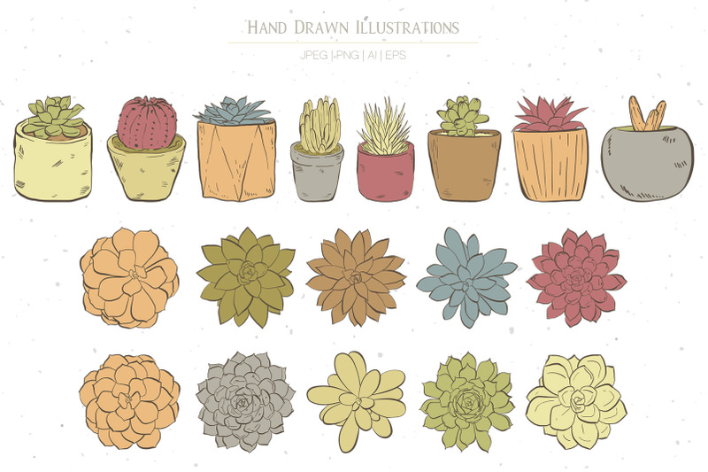 succulents-cacti-and-doodles-illustrations