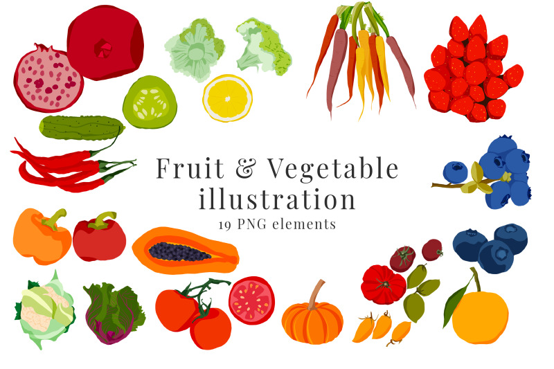 fruit-and-vegetable-illustration-clip-art-19-png