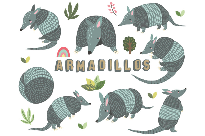 cute-armadillos-collections-set
