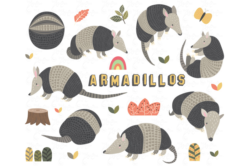 cute-armadillos-collections-set-ll