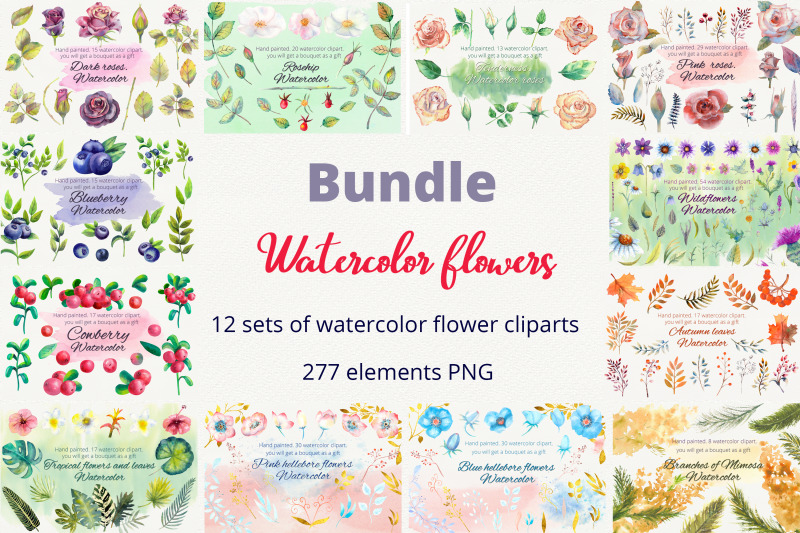 bundle-watercolor-flowers-clipart