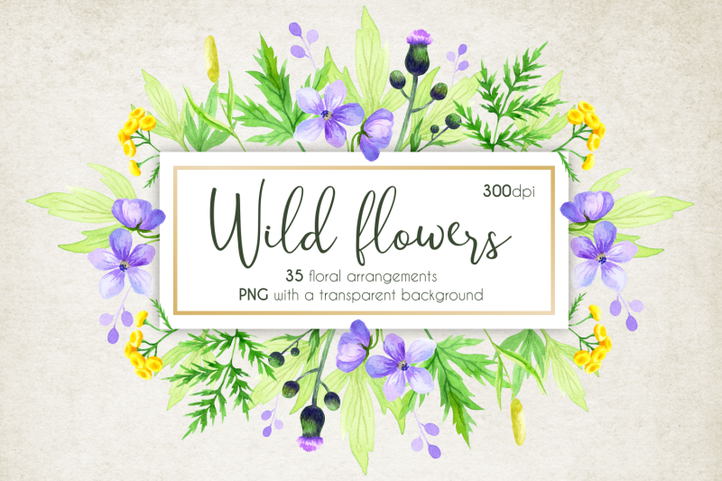 wild-flowers-frames-watercolor