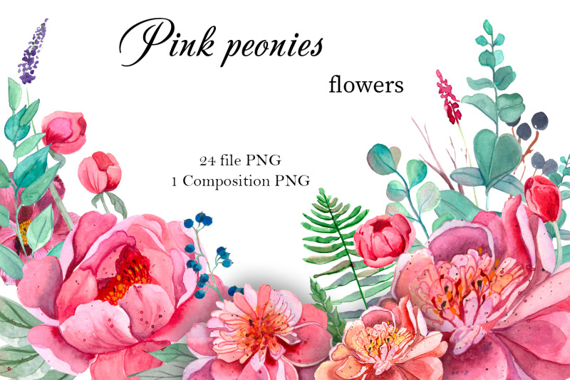 pink-peonies-flowers-clipart