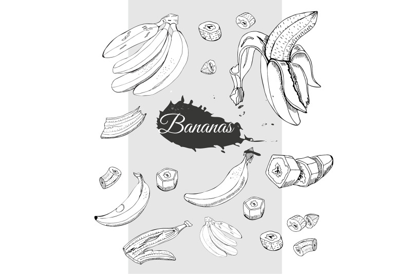 hand-drawn-ink-sketch-of-banana-plant-banana-art