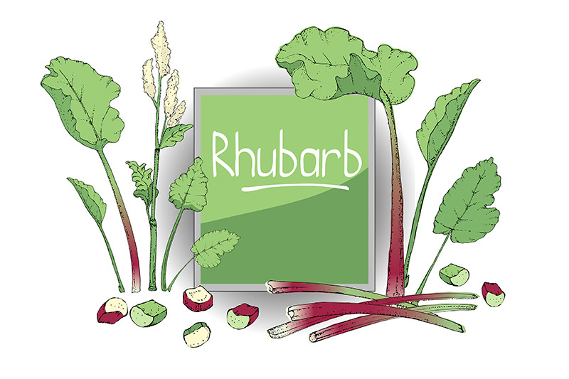 vector-set-with-rhubarb