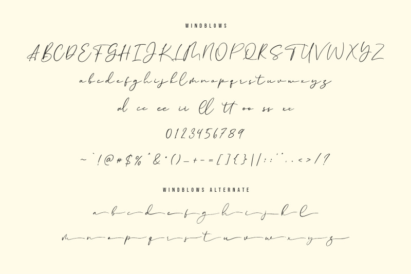 windblows-script-typeface