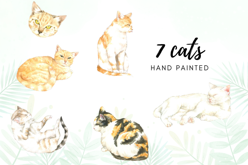 watercolor-cats-illustration-kittens-watercolor-designs