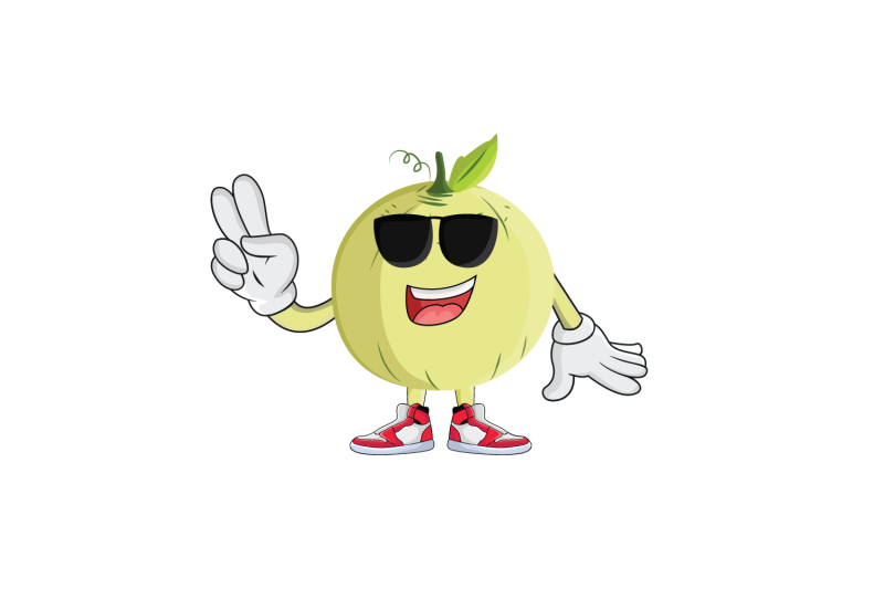 cantaloupe-sunglasses-cool-fruit-cartoon-character-design-graphic