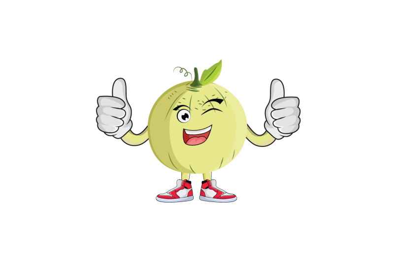 cantaloupe-double-thumbs-up-and-wink-fruit-cartoon-character-design