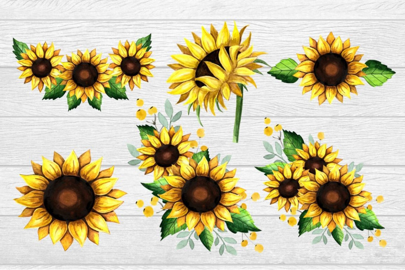 sunflower-clipart-watercolor