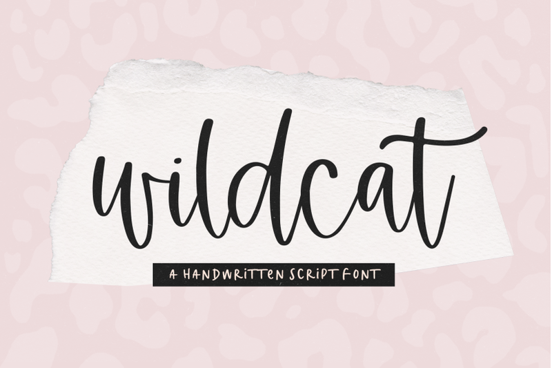 wildcat-a-handwritten-script-font