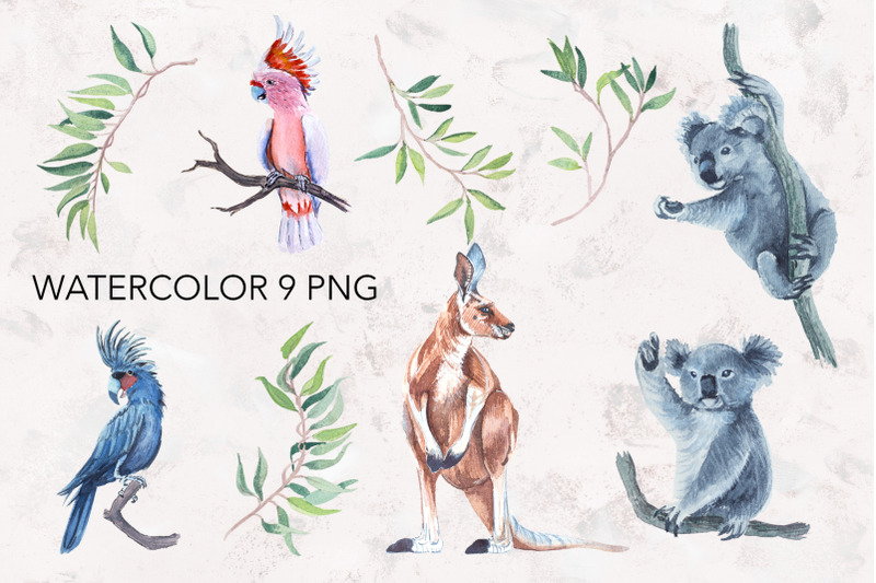 watercolor-koala-parrot-kangaroo