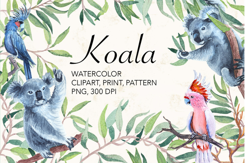 watercolor-koala-parrot-kangaroo