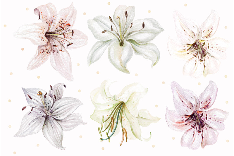 hand-drawn-watercolor-flowers-lily-2