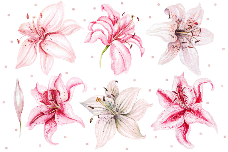 hand-drawn-watercolor-flowers-lily-2