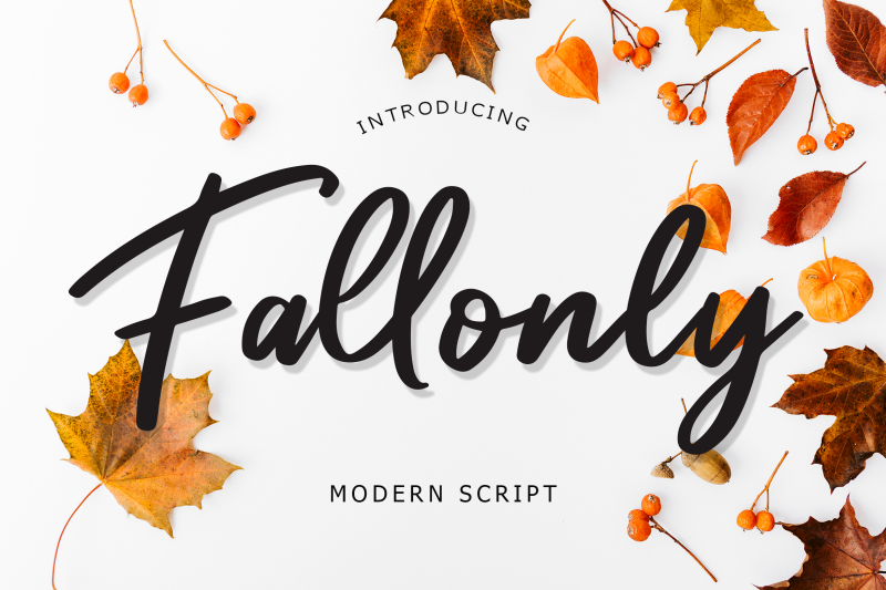 fallony-modern-script