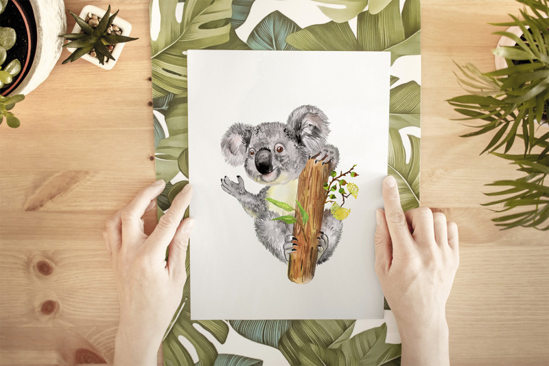 koala-clipart-watercolor-animal-clipart-koala-family-australia